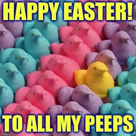 happy easter memes for facebook